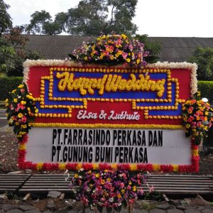 Happy Wedding HF 15